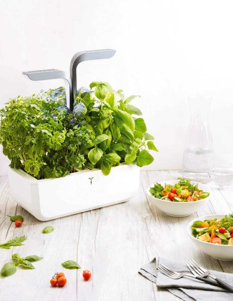 potager véritable et bols de salade aux herbes, exemple de photographie culinaire branding