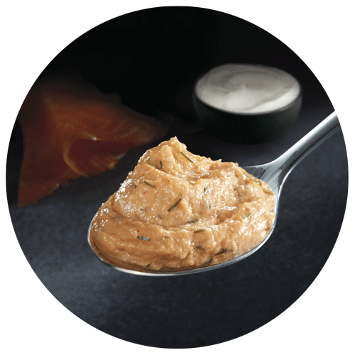 tartinable au saumon dressé dans une cuillère avec tranche de saumon fumé et crème en arrière-plan, visuel de packaging